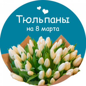 Купить тюльпаны в Шахунье